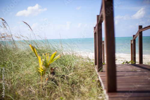 fence on the beach