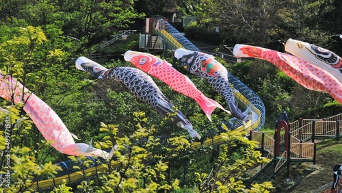 carp streamer in a garden