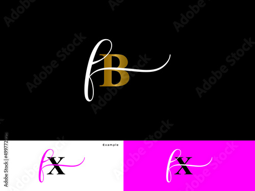 Fashion FB Logo Icon Design, Signature Fb bf Colorful Logo Letter Vector For fashion and beautiful clothing shop photo