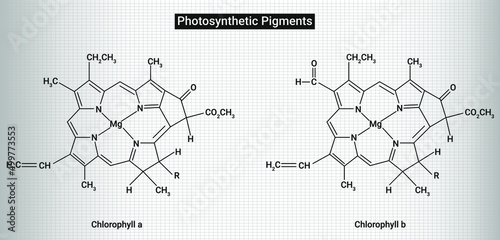 Photosynthetic pigments