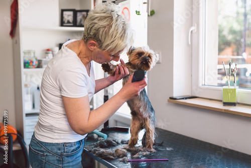 Foto woman works in a dog grooming salon