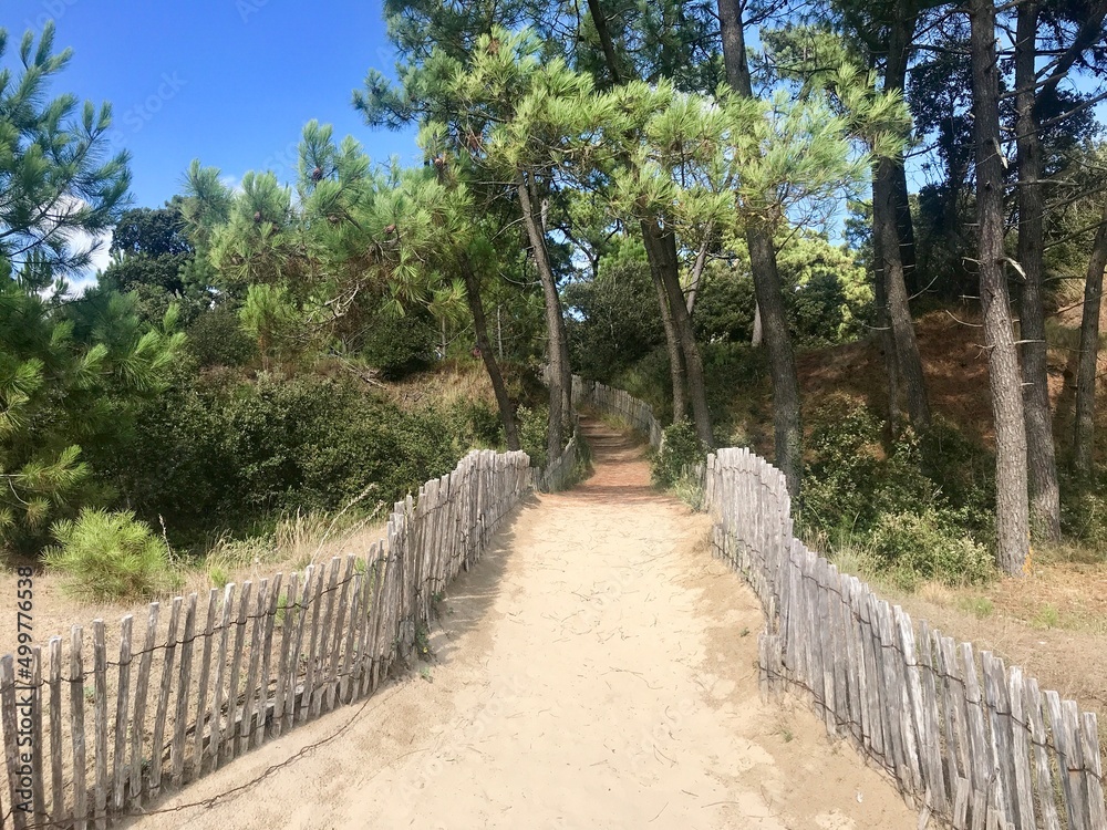 Charente-Maritime Charente-Maritime