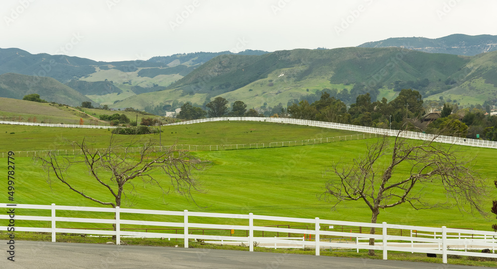 Country road with white picket fence