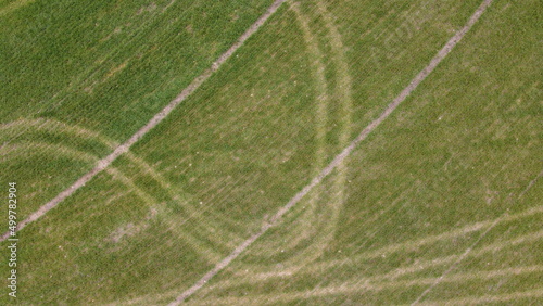 truck wheel lines in the grass