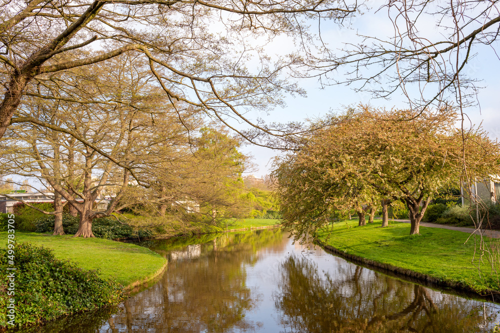 Beautiful spring landscape of park trees located along the bank of the canal with reflection of trees and blue sky in the water Beautiful spring landscape of park trees located along the bank of the canal with reflection of trees and blue sky in the water