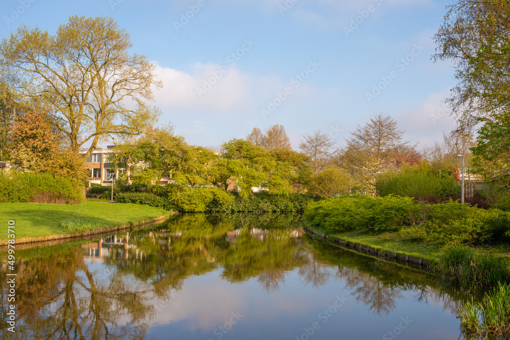 Beautiful spring landscape of park trees located along the bank of the canal with reflection of trees and blue sky in the water Beautiful spring landscape of park trees located along the bank of the canal with reflection of trees and blue sky in the water