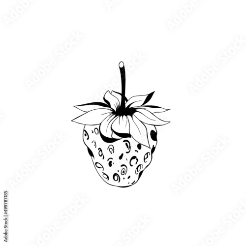 sketch of a strawberry. delicious juicy strawberries - fruit design isolated ...