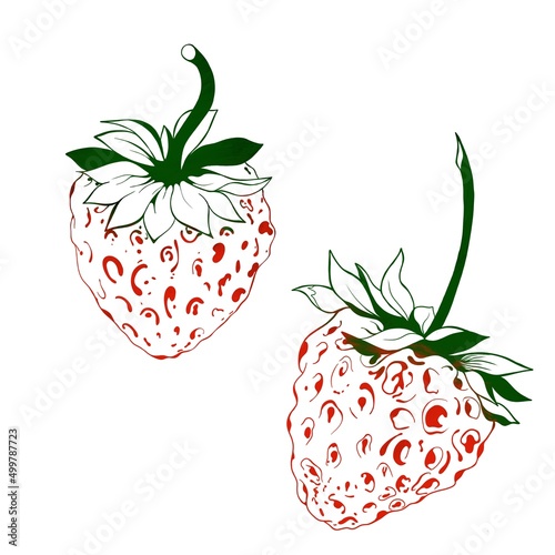 set of two strawberries detailed realistic freehand sketch. delicious juicy s...