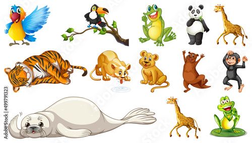 Wild animals on white background