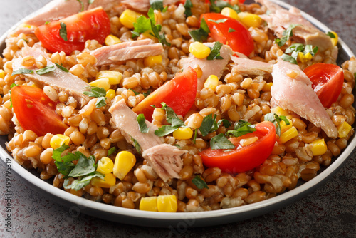 Delicious summer spelt salad with tuna, tomatoes and corn close-up in a plate on the table. Horizontal