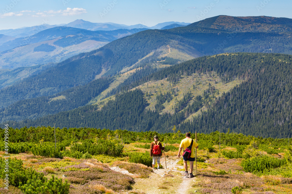 two men on hiking in the mountains during summer sunny day