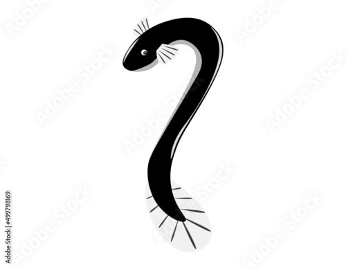 うなぎ　ベクターイラスト