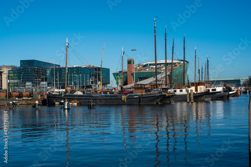 view of the marina in the Amsterdam 