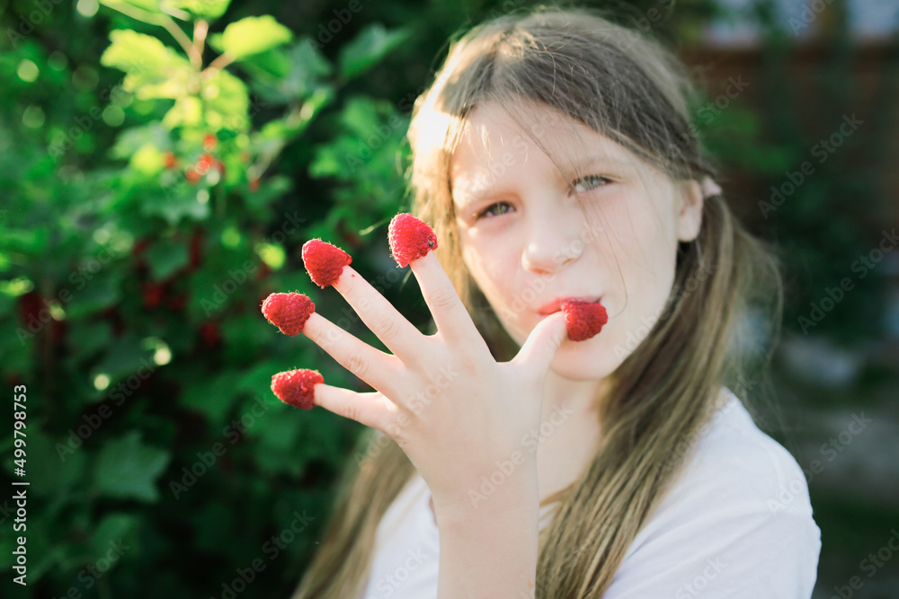 Cute funny european girl child eats raspberries with her hands, daughter helps pick berries in the garden, eco-friendly healthy food and natural berries Cute funny european girl child eats raspberries with her hands, daughter helps pick berries in the garden, eco-friendly healthy food and natural berries