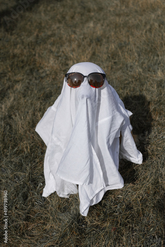 person in sunglasses, dog in sunglasses, halloween costume, dog in halloween costume, dog dressed as a ghost, dog-ghost, dog in a  white sheet, canine suit photo