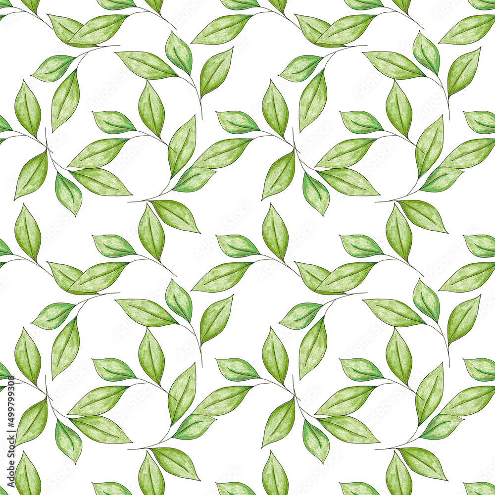 Seamless watercolor leaf pattern. A hand-drawn botanical illustration. For the design of things, wrapping paper, decoupage, covers, fabric, postcards, invitations and etc. Isolated on white background