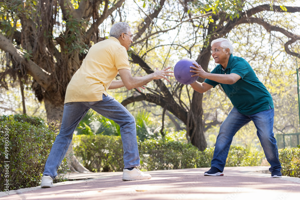 custom made wallpaper toronto digitalTwo senior men having fun playing with ball at park