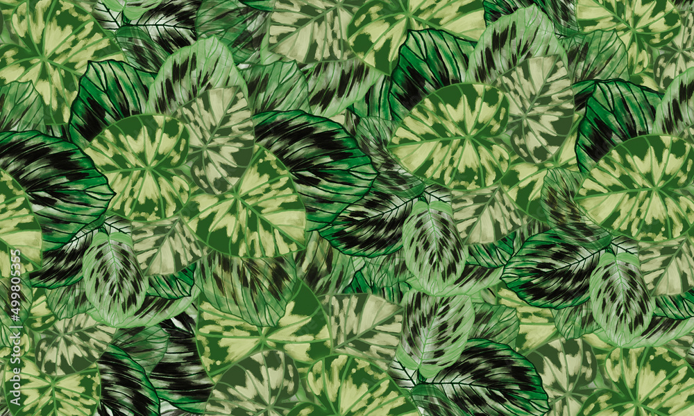 Green tropical leaves abstract spring,summer nature background