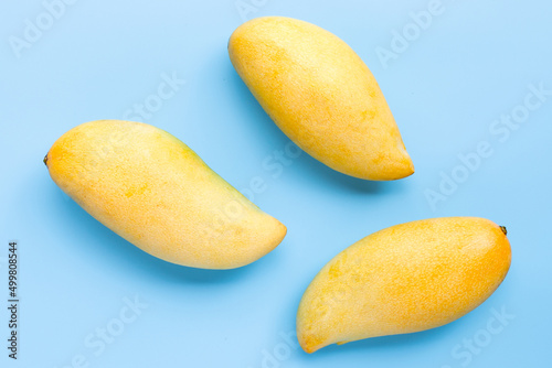 Tropical fruit, Mango on blue background. Top view