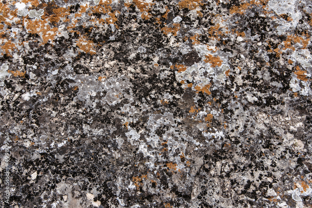 Scale and scaly lichen growing on rocks as a natural background. Pattern and texture. Scale and scaly lichen growing on rocks as a natural background. Pattern and texture.