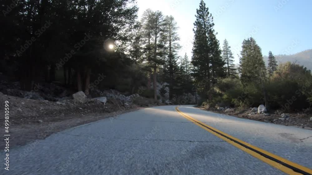 Rear view driving through pine forest on Crystal Lake Road in the San Gabriel Mountains near Azusa and Los Angeles, California. Rear view driving through pine forest on Crystal Lake Road in the San Gabriel Mountains near Azusa and Los Angeles, California.