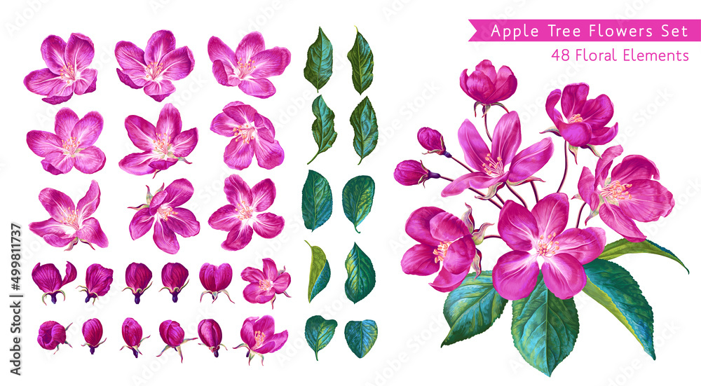 Large set of pink apple blossoms. Set of realistic plants drawn by hand in vector format. Ready-made branch, individual flowers, leaves and buds. Easy to edit and catomize for your design. Large set of pink apple blossoms. Set of realistic plants drawn by hand in vector format. Ready-made branch, individual flowers, leaves and buds. Easy to edit and catomize for your design.