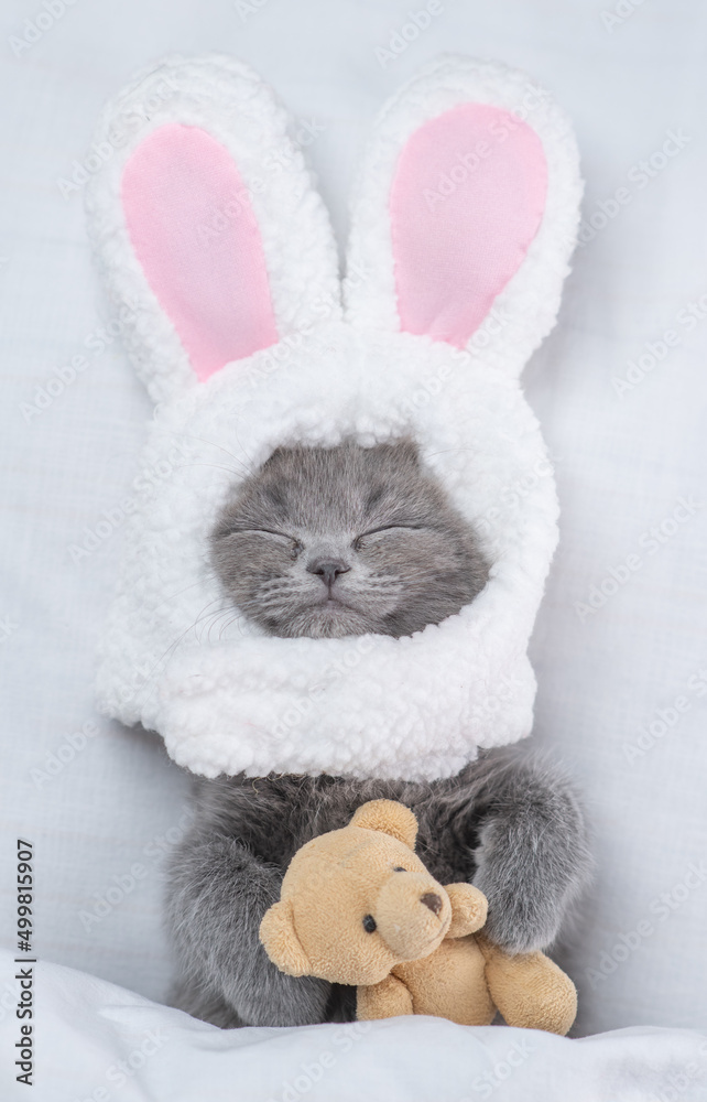 Fototapeta premium Funny kitten wearing easter rabbits ears sleeps and hugs toy bear on a bed under warm white blanket at home. Top down view