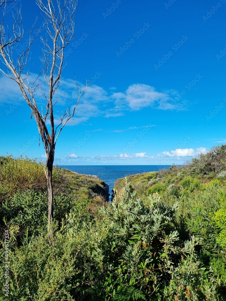 The cliffs near Cronulla beach in Sydney, Australia on a sunny day The cliffs near Cronulla beach in Sydney, Australia on a sunny day