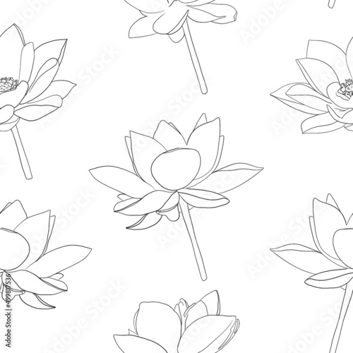 Hand drawn pattern of flowers. Blooming lotus. Decorative floral doodle illustration for greeting card  invitation  wallpaper  wrapping paper  fabric