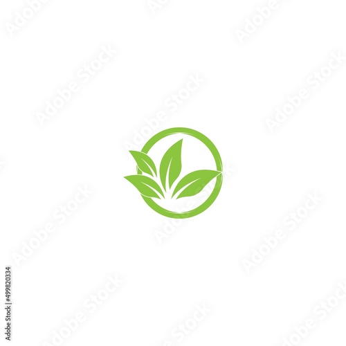 Fototapeta Naklejka Na Ścianę i Meble -  Tree leaf vector logo design, eco-friendly