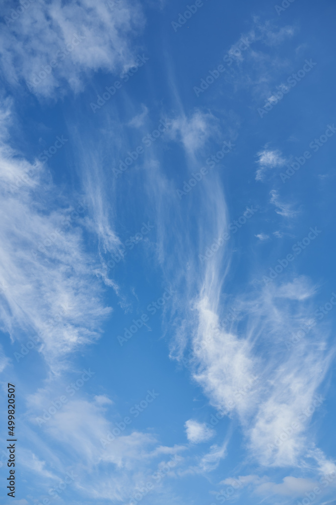 blue sky and feathery clouds blown by the wind. background blue sky and feathery clouds blown by the wind. background