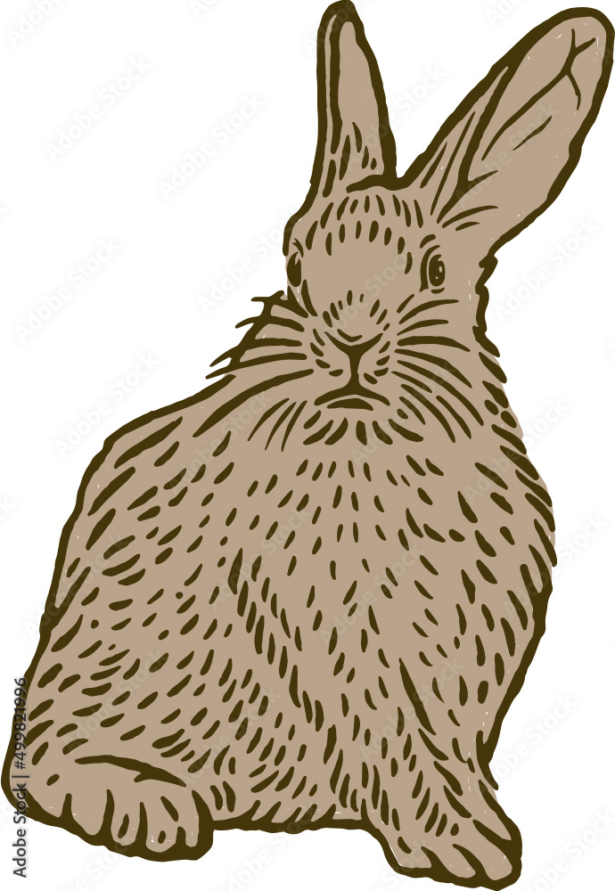Naklejka premium vintage illustration of rabbit