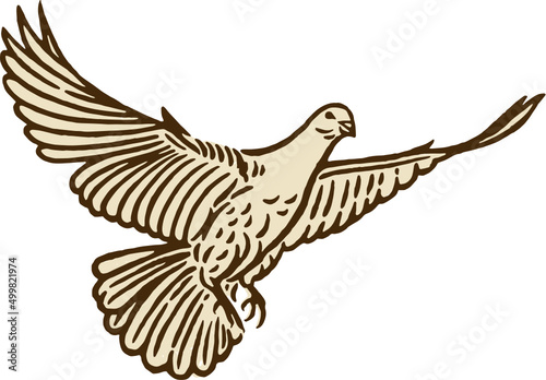 vintage illustration of dove of peace