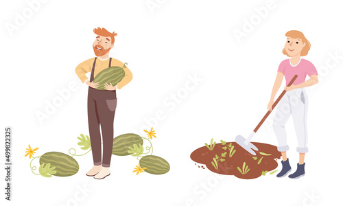 Farmers picking watermelon and loosening soil with hoe. Farming and agriculture cartoon vector illustration