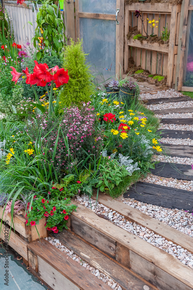 Colorful flower and path in backyard garden Colorful flower and path in backyard garden