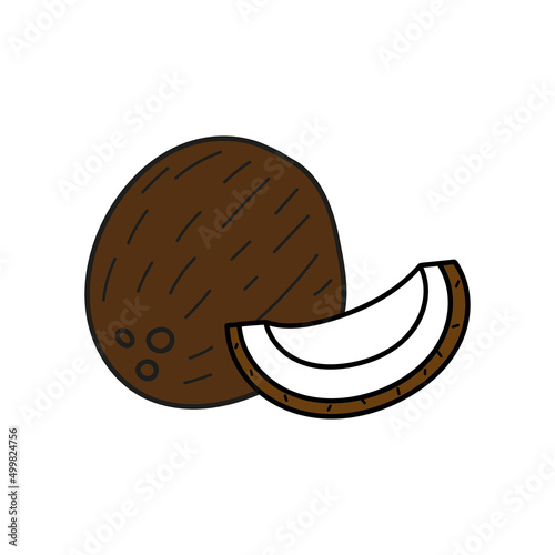 coconut isolated on white background. vector illustration of colorful half and whole of juicy coconut. Fresh cartoon