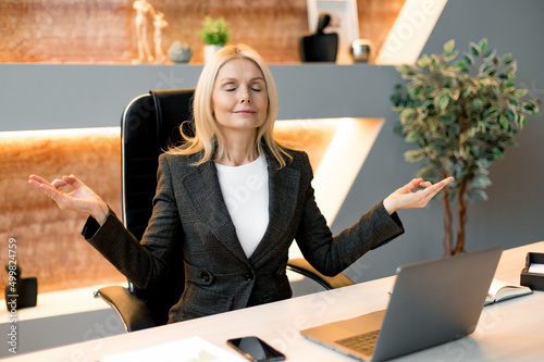 Fotografija Middle aged positive calm relaxed caucasian blonde woman, boss, company ceo, sec