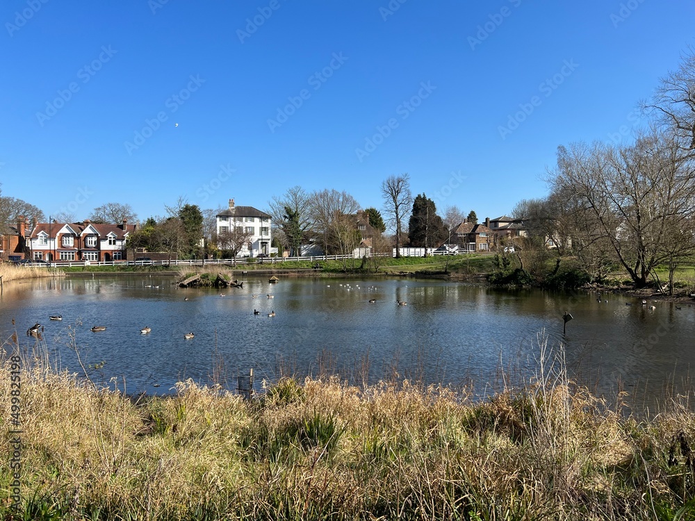 Prickend Pond in Chislehurst, England