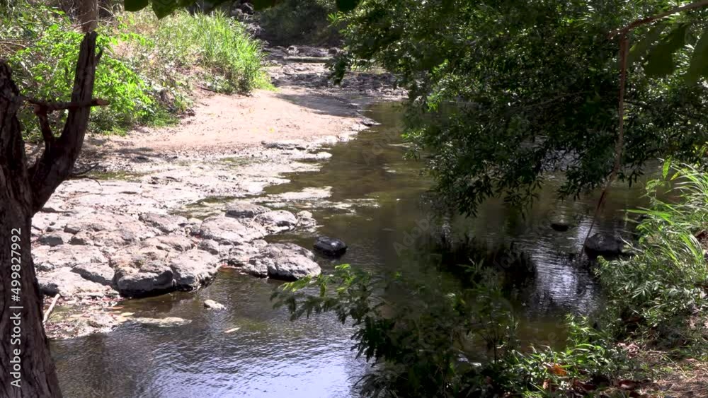 Peaceful river with shade, sun and wind. Relaxing atmosphere. Trees, bushes and rocks Peaceful river with shade, sun and wind. Relaxing atmosphere. Trees, bushes and rocks