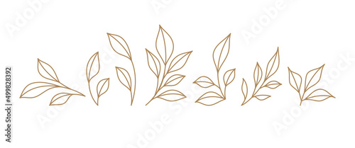 Fotografiet Set monochrome simple leaves botanical branches with stem and foliage vector ill