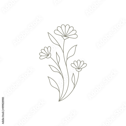 Beauty line art simple wild cute chamomile petals, buds, stem and leaves elegant logo wall print