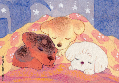 花柄の毛布に包まれて眠る仔犬たち