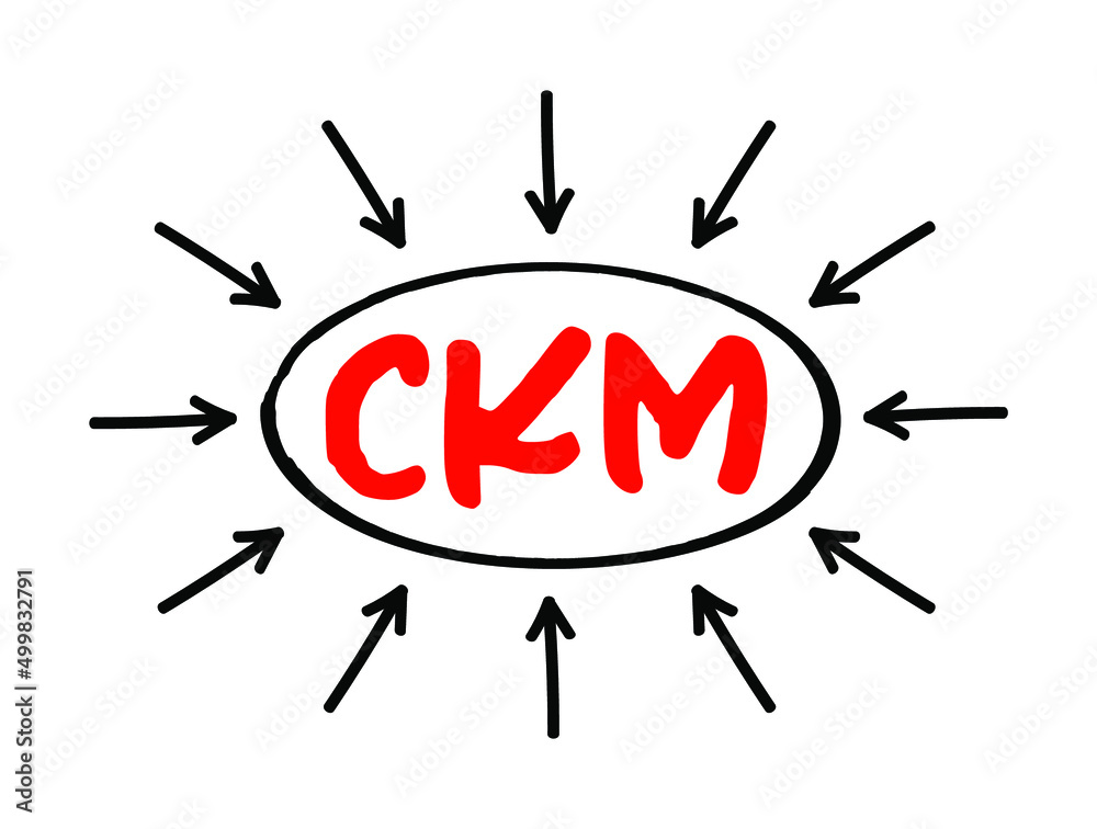 CKM Customer Knowledge Management - emerges as a crucial element for ...