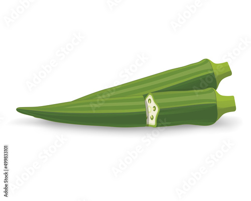 LadyFinger Vegetable vector illustration isolated on white background