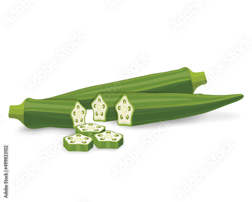 LadyFinger Okra vegetable vector illustration with okra slices and half pieces