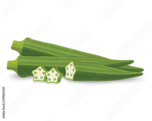 Ladyfinger, Okra Vegetable vector illustration with pieces of vegetable photo