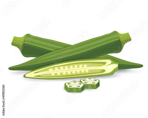 Okra vegetable vector illustration with half slice and pieces of okra vegetable