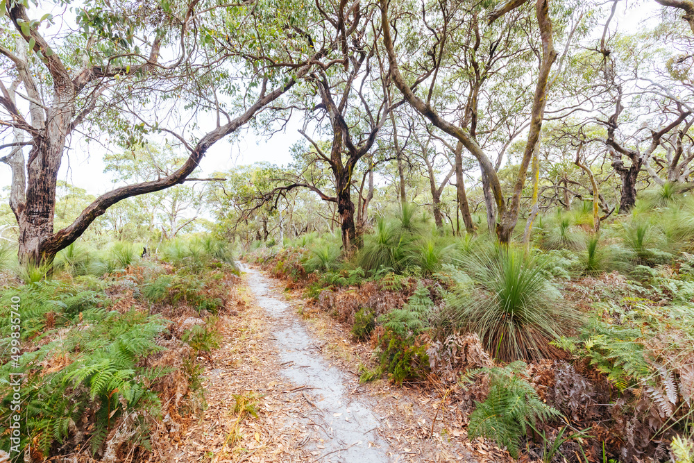 Two Bays Walking Track in Australia