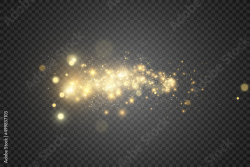 Brilliant gold dust vector shine. Glittering shiny ornaments for background. Vector illustration.