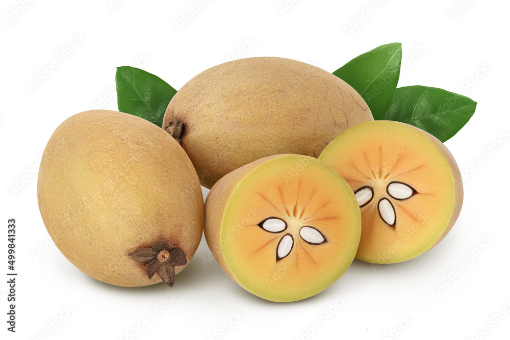 Sapodilla isolated on white background with clipping path and full depth of field Sapodilla isolated on white background with clipping path and full depth of field